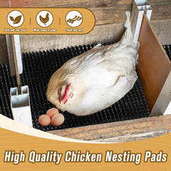 GDHSWJ pad installed in a nesting box demonstrating cleaner coop environment