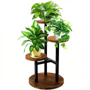 GEEBOBO front view showing three-tier display and modern walnut finish