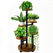 GEEBOBO front view showing five-tier display and modern styling benefit