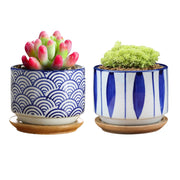 GeLive front view showcasing wave and blue flower patterns and compact benefits