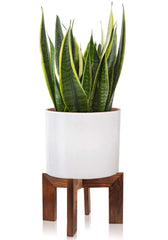 Gendral Forwepup front view of wooden plant stand elevates pots safely