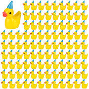 GGSTDDUP front pack of 100 mini resin ducks showing value and quantity