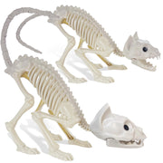 GIFTEXPRESS front view of two kitten skeletons showcasing full set and size benefit