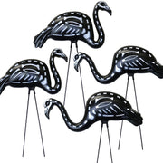 GiftExpress black flamingo front view showing spooky skull design and curb appeal