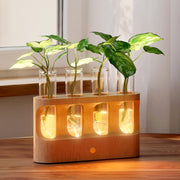 Giunn front view of propagation station showing four glass vials and wood base, enhances desk decor