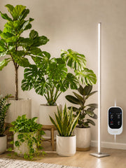GLOWRIUM front view of 60in standing grow light showing full lamp benefits