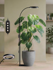 GLOWRIUM front view assembled showing full lamp and stand, highlights stability and coverage