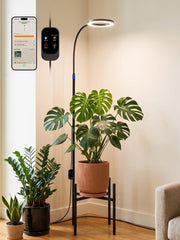 GLOWRIUM front view assembled showing compact plant display and balanced design