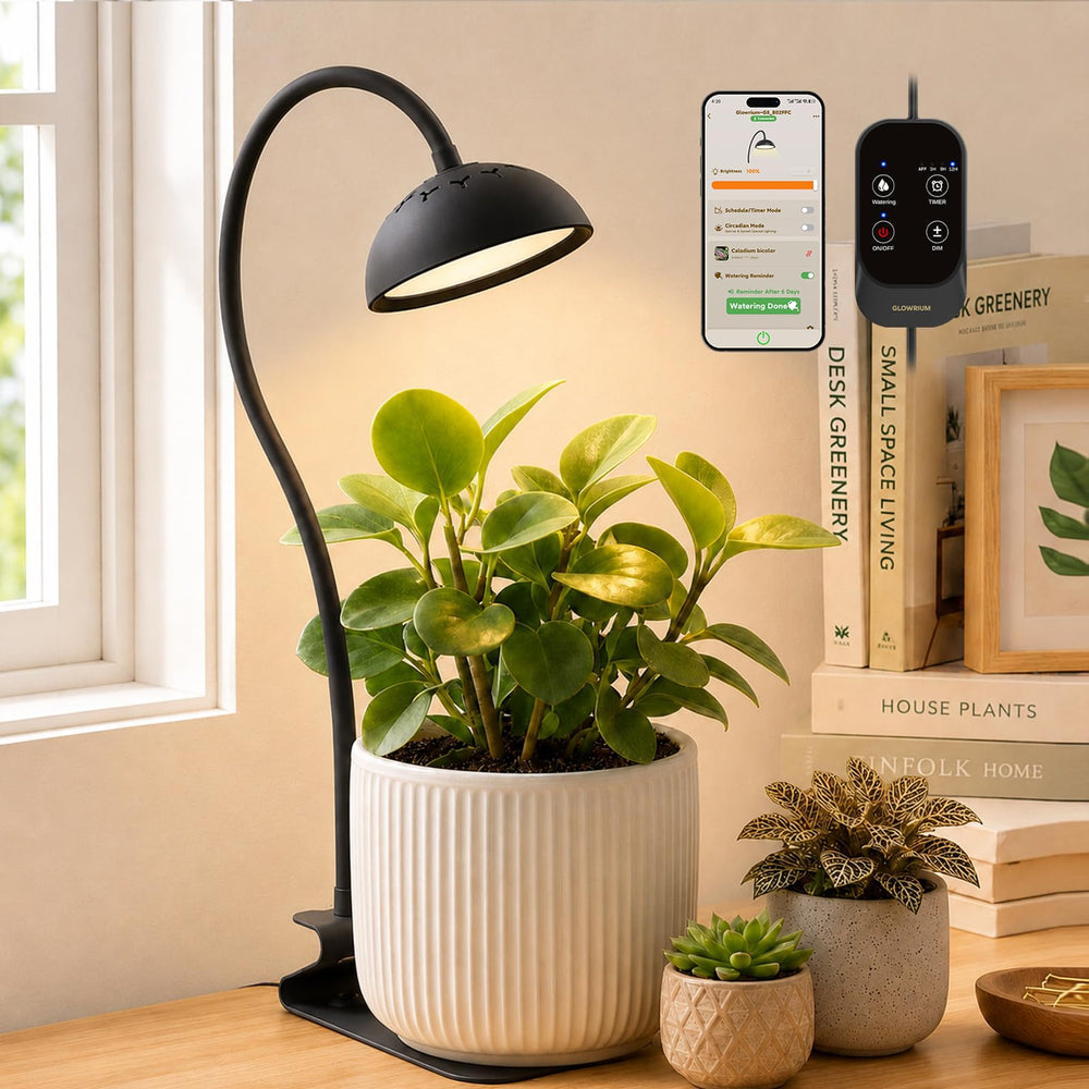 GLOWRIUM front view desk lamp offering targeted plant light and space-saving design