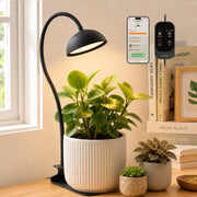 GLOWRIUM front view desk lamp offering targeted plant light and space-saving design