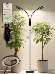 GLOWRIUM front view of floor grow light showing full setup and versatility