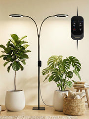 GLOWRIUM front view of full lamp showing height and coverage benefit