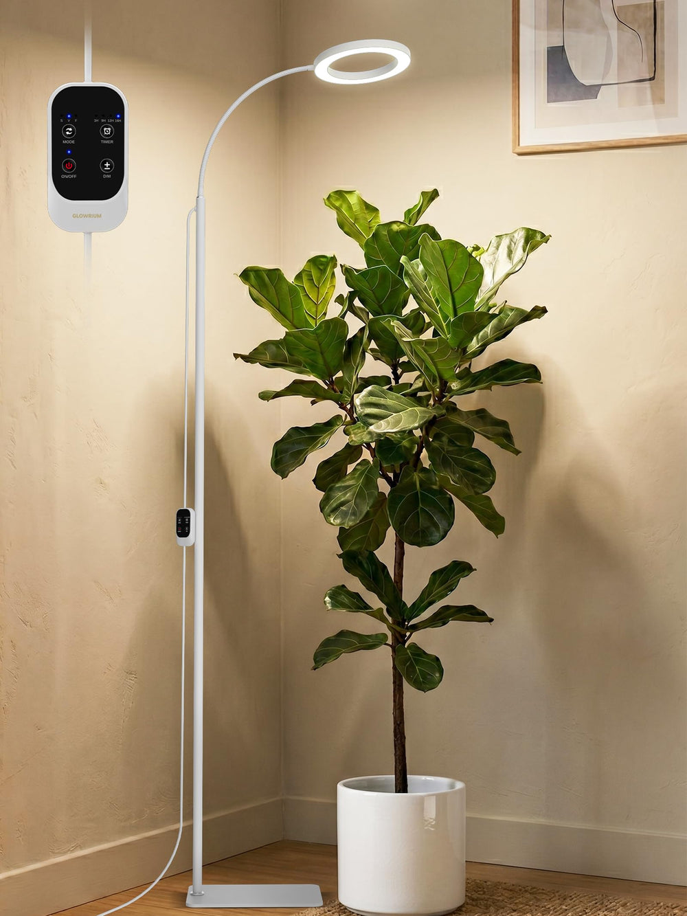 GLOWRIUM front view on stand showing compact design and even light