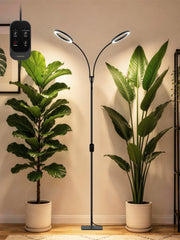 GLOWRIUM front view with stand showing whole lamp and balance