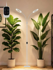GLOWRIUM front view on stand showing stable base and full coverage benefit