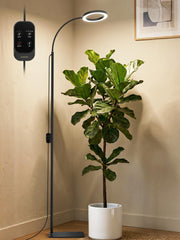GLOWRIUM front view with stand showing stable base benefit