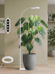 GLOWRIUM front view on stand showing sleek design and brightness benefit