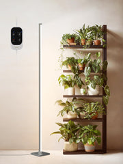 GLOWRIUM front view of standing grow light showing full vertical coverage and brightness