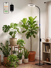 GLOWRIUM front view showing full lamp and plant coverage benefit