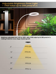 GLOWRIUM extended to 79 inches showing tall plant compatibility
