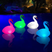 Goallim swan front view showing elegant float and bright LED glow