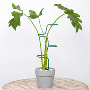 GOOOXIM front view of three-pack stakes showing tidy green finish and modern look