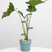 Goooxim front view of three black stakes showing clean design and support benefit