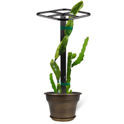 Goooxim front view showing full 50-inch trellis supporting vines
