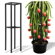 Goooxim front view of trellis showing sturdy 12x48 inch support benefits
