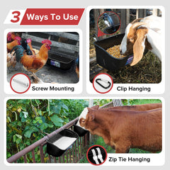 Goovilla trough mounted in a chicken coop keeping feed elevated and reducing waste