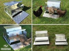 Grandpa's Feeders lid and lock detail protecting feed from rodents