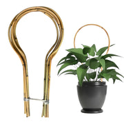 Grassen front view showing sturdy bamboo hoop support for potted vines