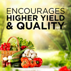 GreenView granular texture detail showing slow-release formula for steady nutrition