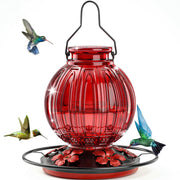 Grete Gotye front view feeder showing retro glass design and hanging benefit