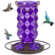 Grete Gotye front view purple glass feeder showing design and capacity