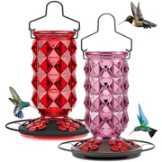 Grete Gotye front view showing two glass feeders for vibrant backyard attraction