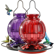 Grete Gotye front view red feeder showing vibrant color and quick attraction