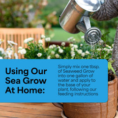Grow More foliar spray applied to blooms for improved set