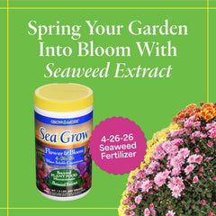 Grow More powder texture close-up highlighting soluble form