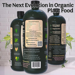 Grow Queen sea kelp close-up ingredient highlighting natural nutrients