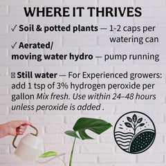Grow Queen used on indoor shelf plants showing greener foliage