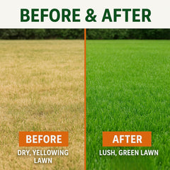GS Plant Foods treated lawn showing denser green turf after use