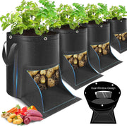 Gsonia front view showing packaging and product benefits