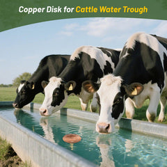 HAEZU copper disk close-up texture displaying pure-copper finish and durable thin gauge