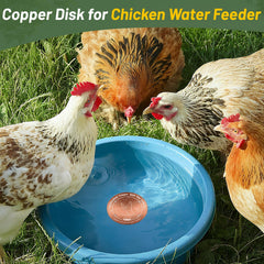 HAEZU disk four-point supports visible to boost water circulation benefit