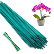 HAINANSTRY front package view showing 50 bamboo stakes and ties for organized storage