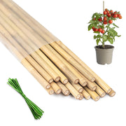 HAINANSTRY front pack of 20 bamboo stakes and ties showing quantity benefit