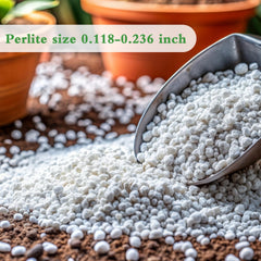 HAINANSTRY perlite used as a bottom drainage layer in pot showing reduced waterlogging