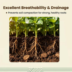 Halatool coir brick soaking in bowl highlighting rapid expansion and easy prep benefit