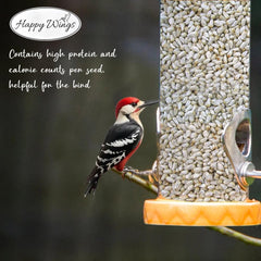 Happy Wings safflower seeds filling a hopper feeder, attracts finches and songbirds